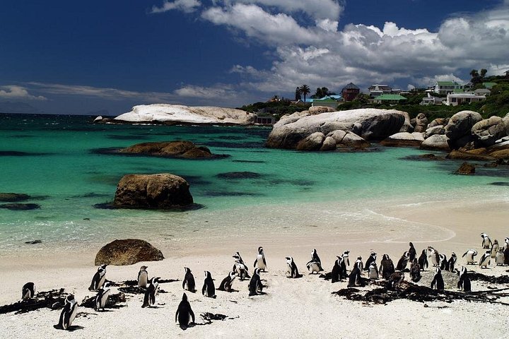 Excursões de um dia na Cidade do Cabo