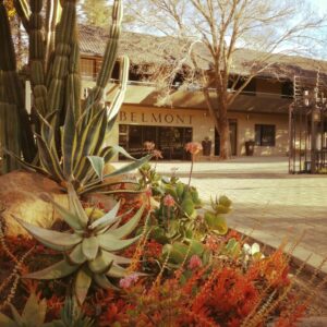 Belmont Guesthouse, Bloemfontein