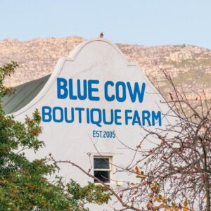 Blue Cow Barn - Boutique Farm