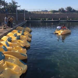 Pedal Boat Rides on Durban Point Waterfront Canals