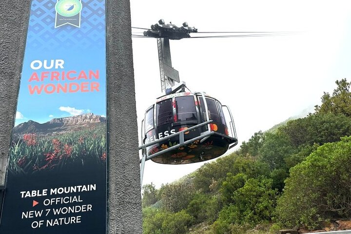 Montanha da Mesa, pinguins de Boulders Beach e Cape Point