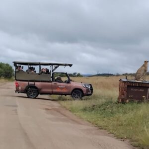Aventura de safari de día completo en Pilanesberg