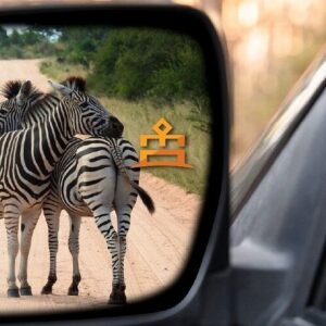 Safari de día completo en Pilanesberg desde Sun City