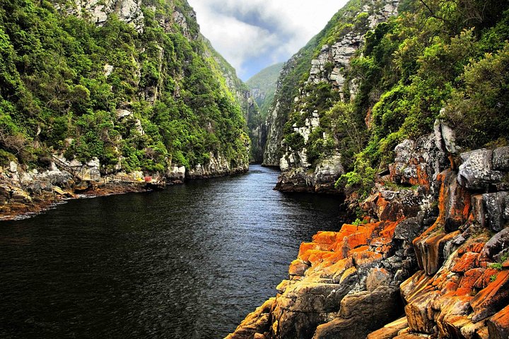 Tour de 3 noches por la Garden Route desde Ciudad del Cabo