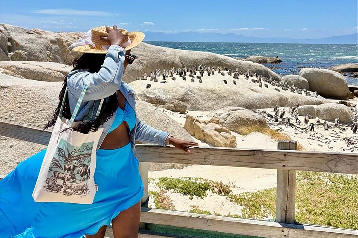 Excursão privada de meio dia aos pinguins de Boulders Beach e a Simon’s Town