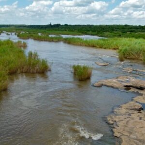 Ein breiter, verzweigter Fluss, der über flache Felsplatten und Schilfinseln fließt, dahinter niedriges Buschveld und Haufenwolken