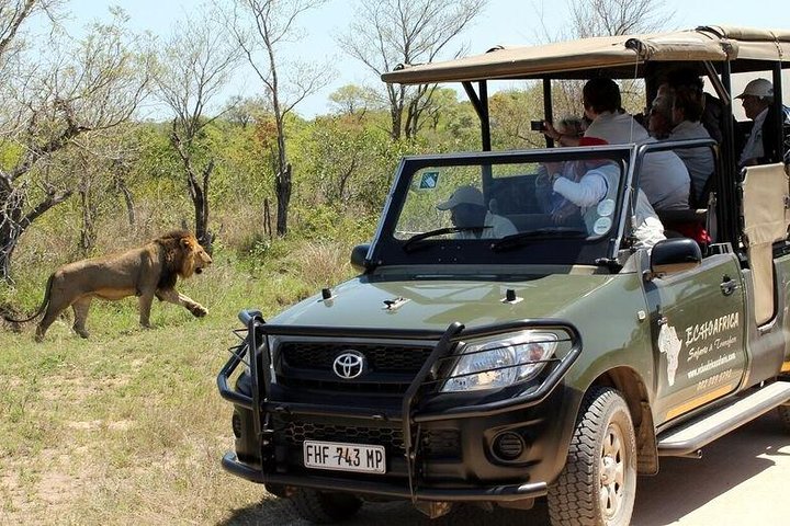 Lo mejor de Sudáfrica en 8 días