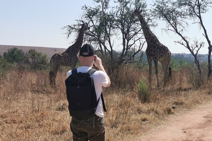 Private Wanderung in den Magaliesbergen, Wildtiere, nahe Johannesburg