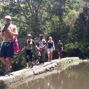 Jungle Monkey Backpackers, Port St Johns