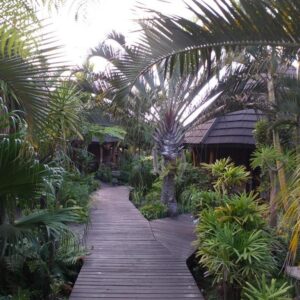 Lodge Afrique, St Lucia