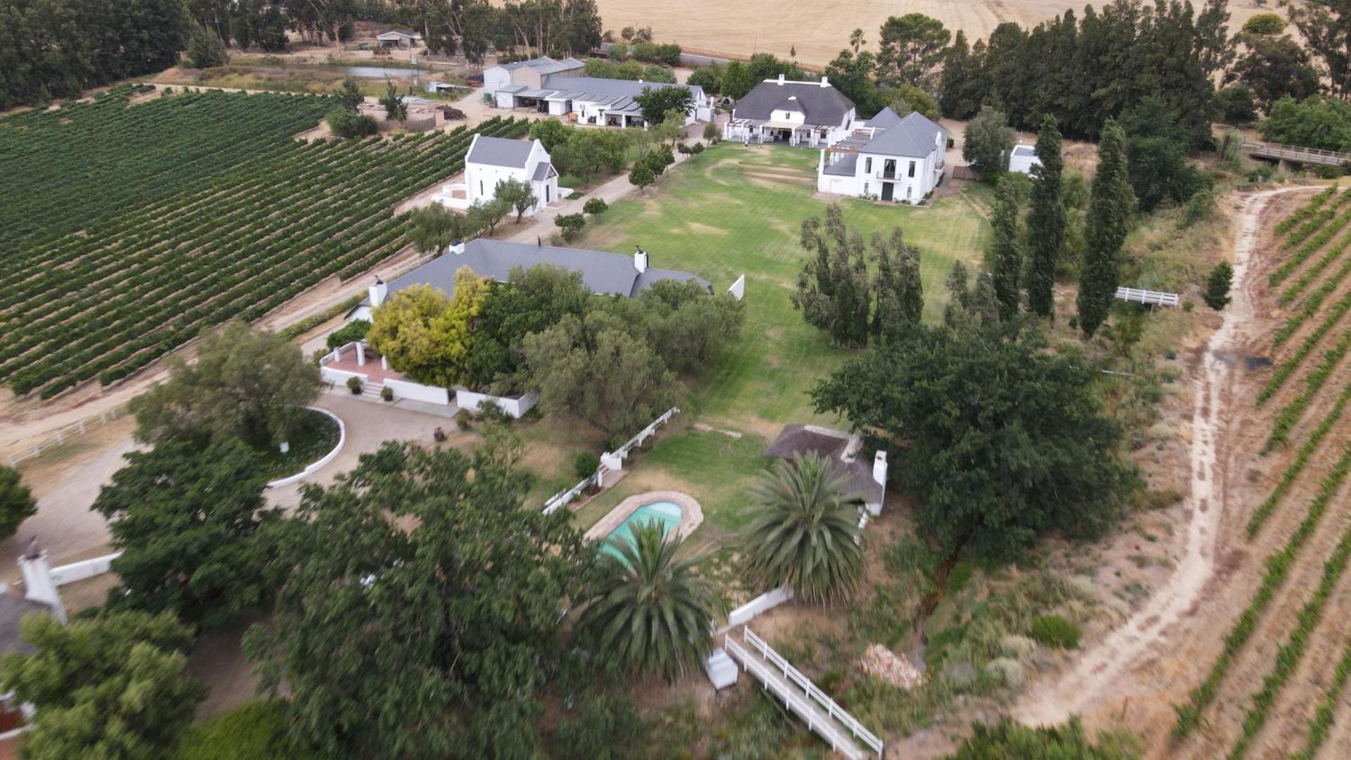 Manley Wine Estate