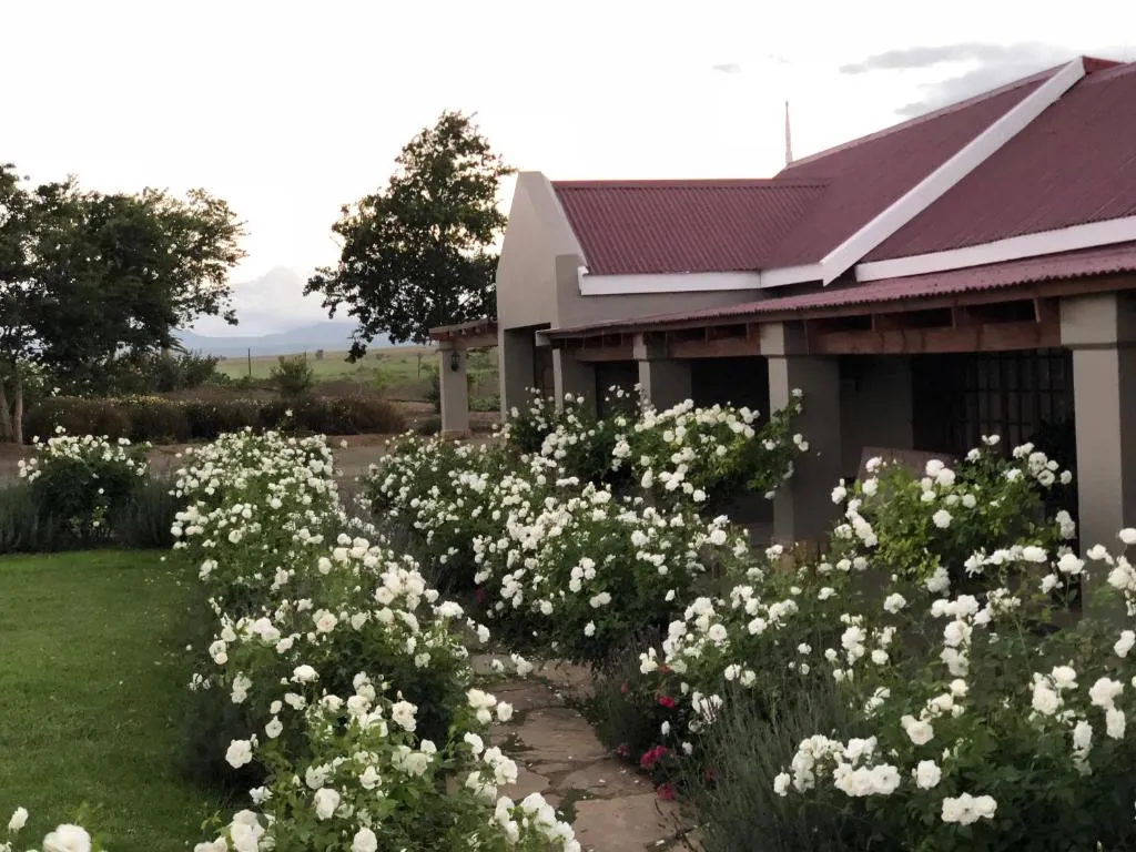 Mountain View Country Guest House住宿,Cradock,东开普省