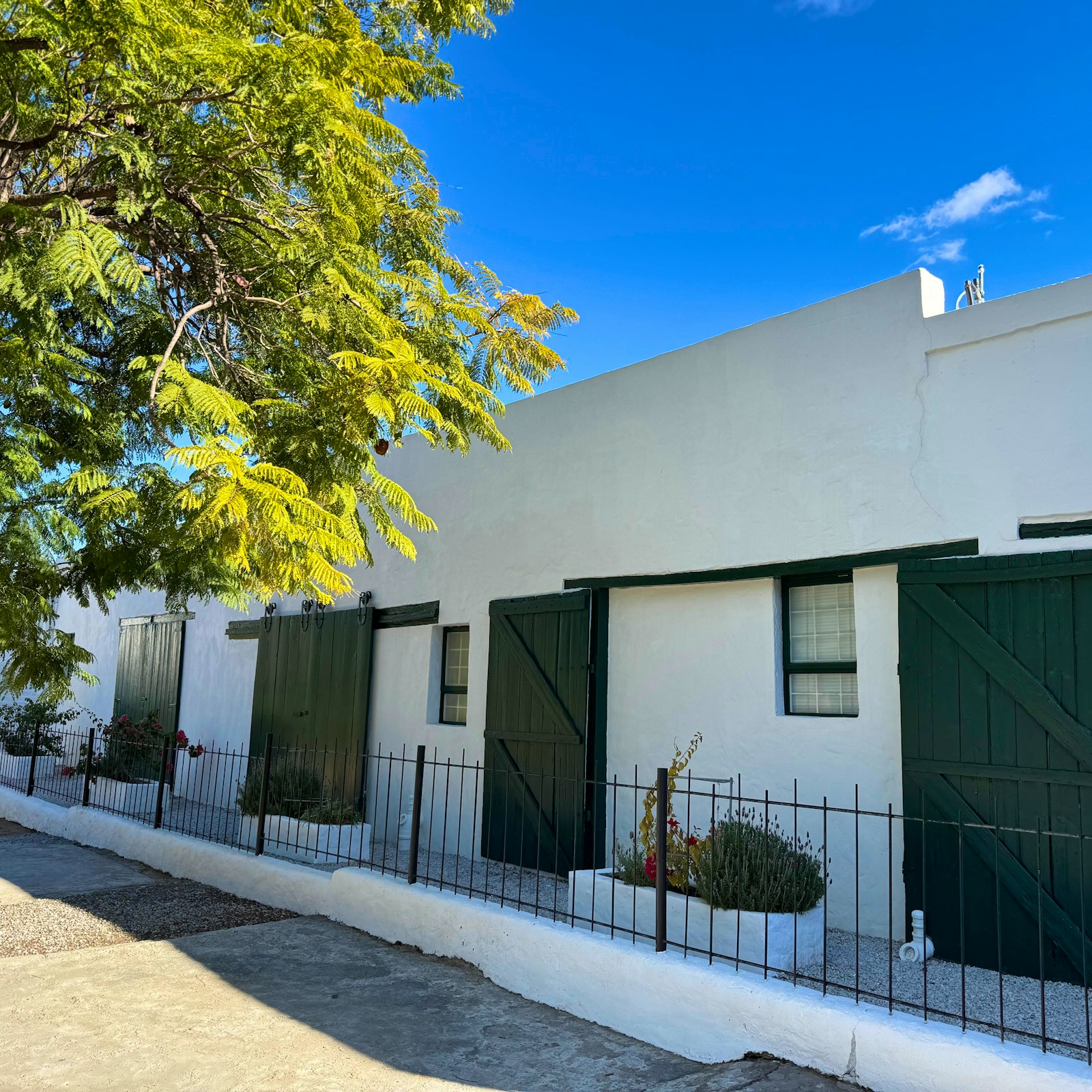 Rietjiesbos — Graaff Reinet, Afrique du Sud