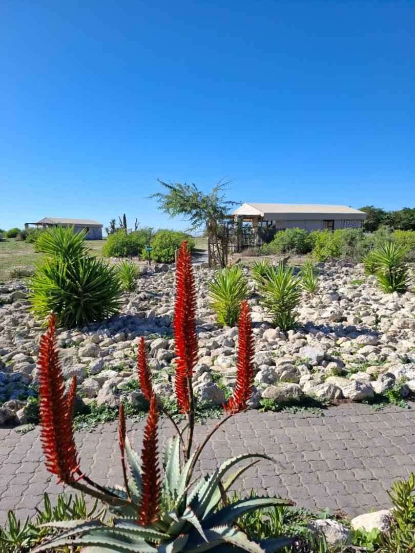Thali Thali Game Lodge