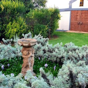 The Darling Farmstyle B&B