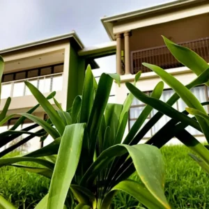 Alojamiento Uzuri Lifestyle en Port St Johns, Cabo Oriental