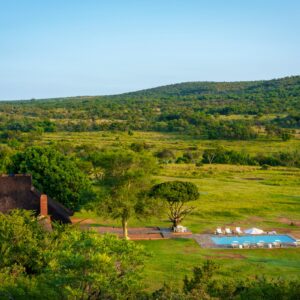 Zebras Crossing — Modimolle, Afrique du Sud