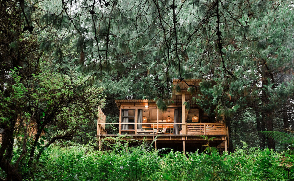 Cabane en bois surélevée sur pilotis, avec terrasse à balustrade et intérieur éclairé, entourée d’une dense forêt de pins et de fougères