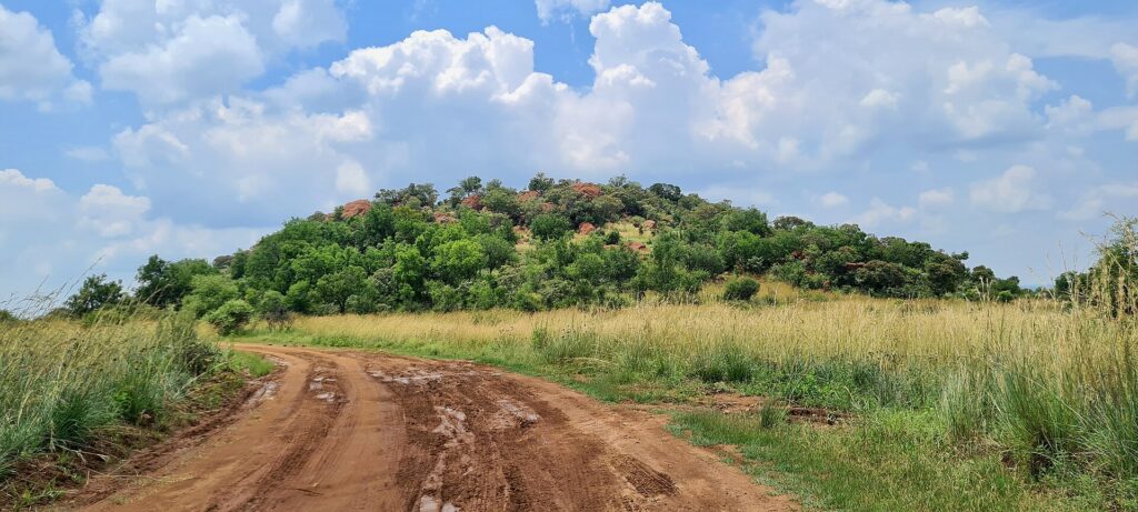 Dirt road after rain in Pilanesberg Game Reserve